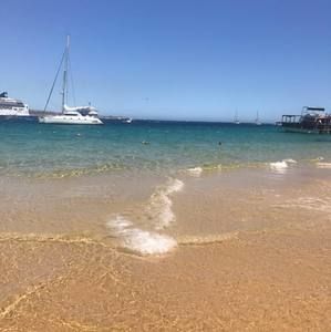 Meet your Posher, Katherine